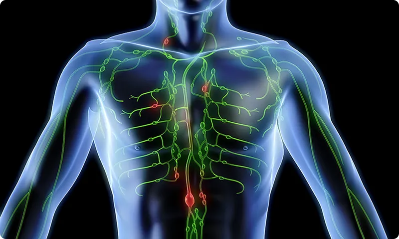 Rosanova lymphatic system cleanse review