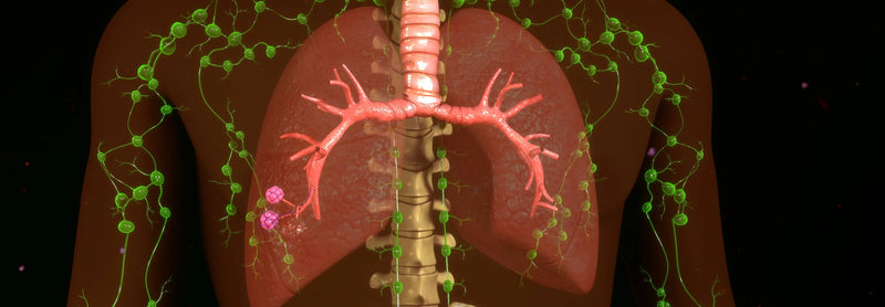 3D medical illustration of lungs with neural network and virus particles