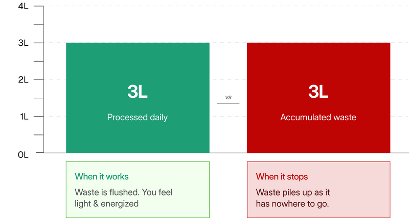 Comparison chart showing 'Processed daily' on green and 'Accumulated waste' on red with corresponding text boxes.