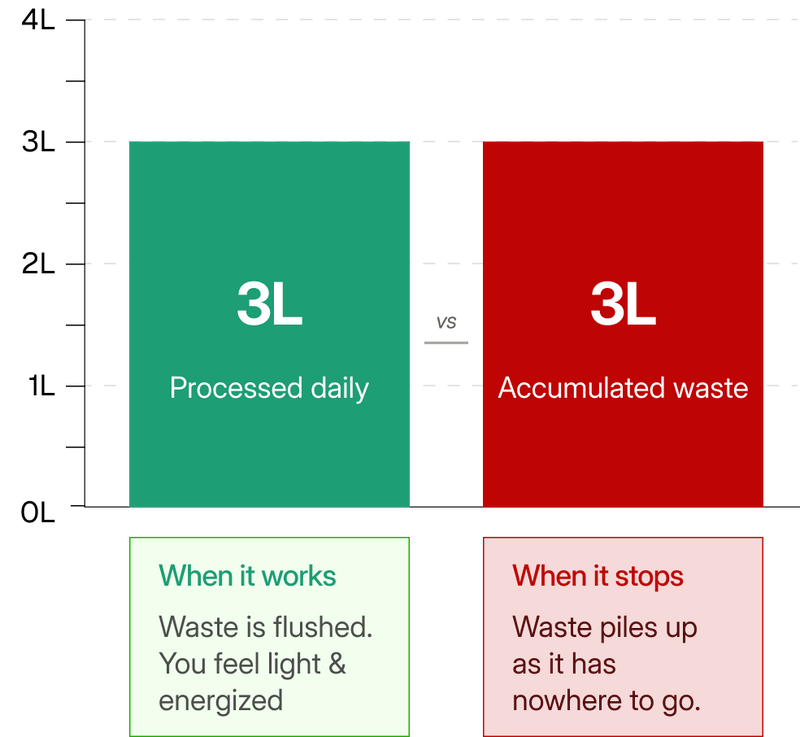 Comparison chart showing 'Processed daily' vs 'Accumulated waste' with corresponding text and color-coded sections.
