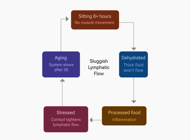 Flowchart explaining health issues related to sitting for long periods, aging, dehydration, stress, and processed food.