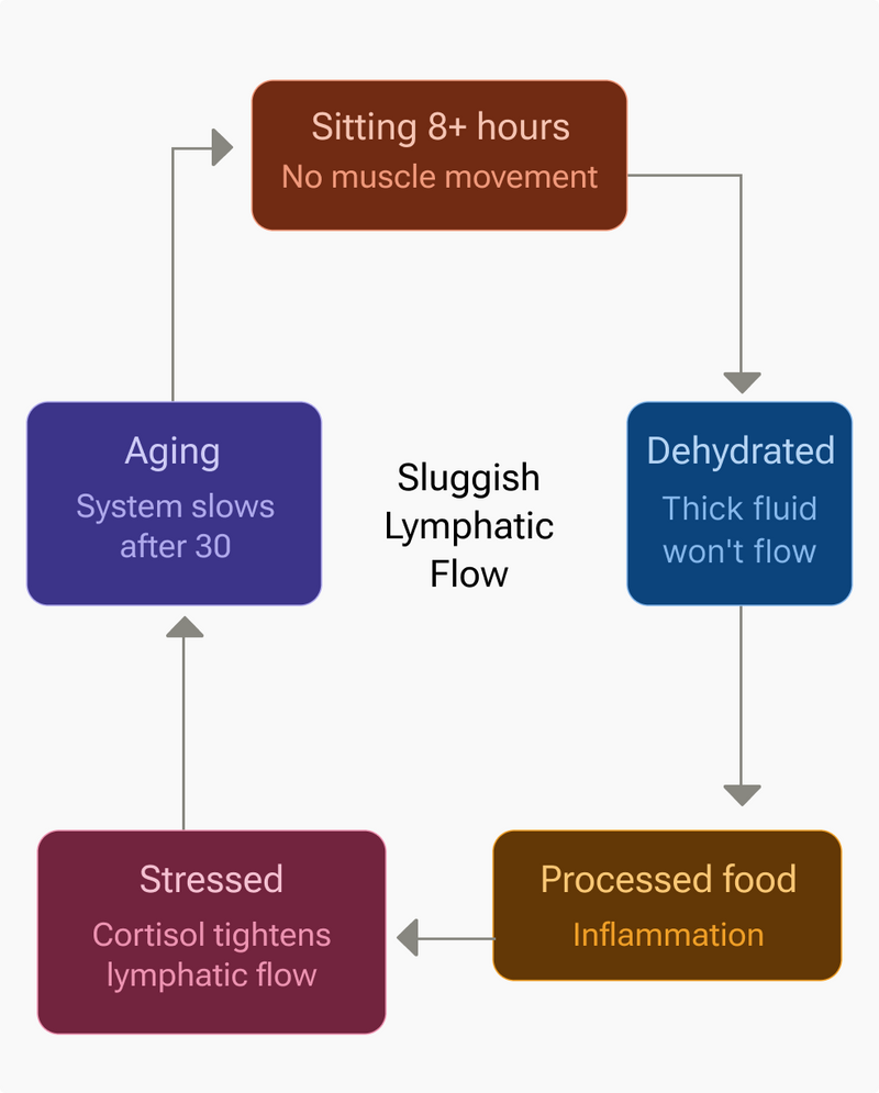Flowchart explaining health issues related to prolonged sitting, aging, dehydration, stress, and processed food.