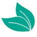 icon-img