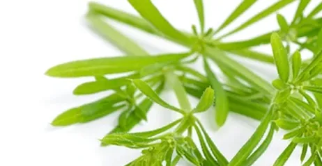 ingredient-item