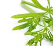 ingredient-item